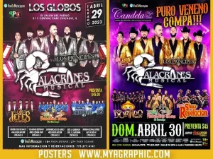 1,000 Posters 18" X 24" 4/0 12 PTS. UV